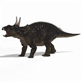 Diceratops DAZ 03A_0001
